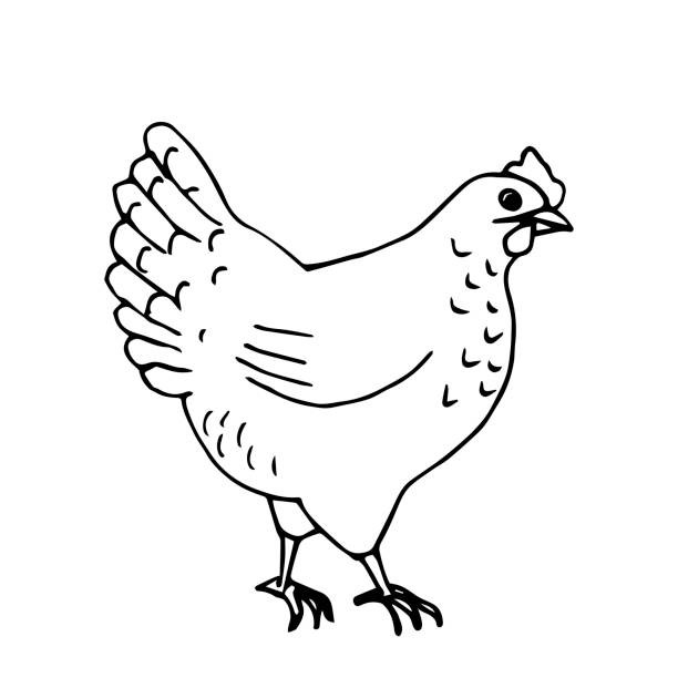 Agriculture & Élevage